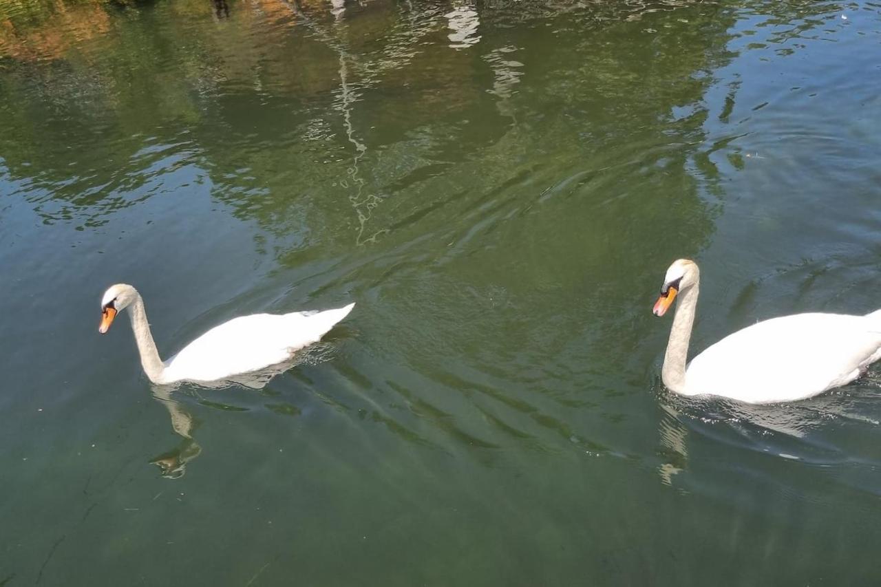 Au Fils De L'Eau Estrasburgo Exterior foto